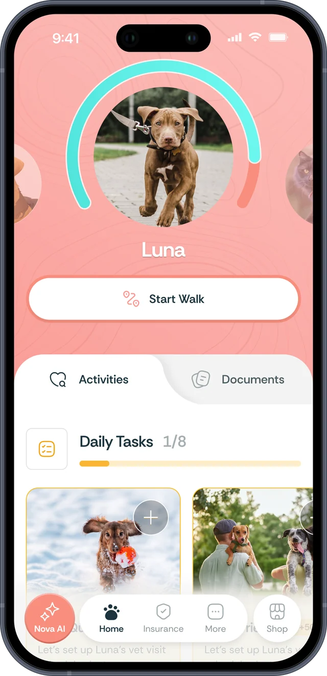 NovaPet app: activity ring, Start Walk and daily tasks for a dog called Luna